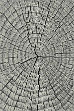 Ковер из Украины MANGO 11261-190