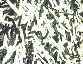 Ковер черный длинноворсовый Шегги TW black-white